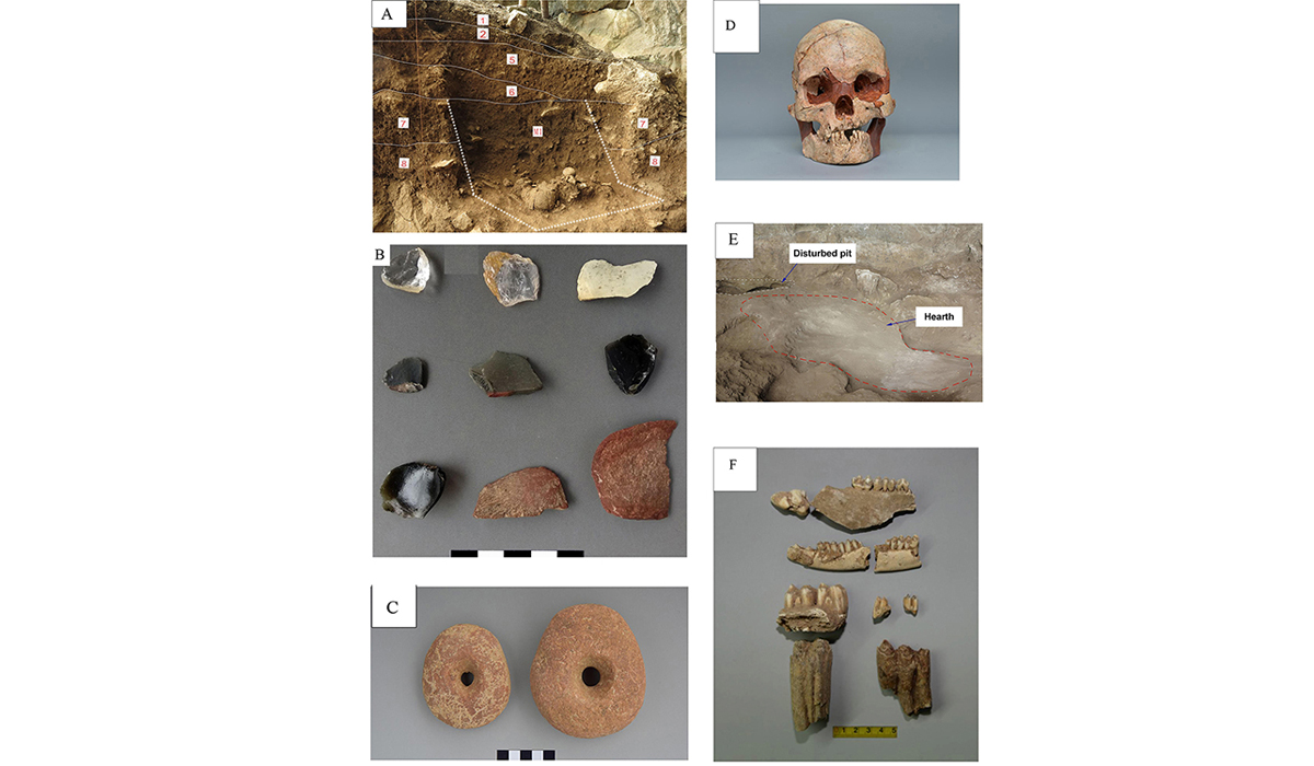 植硅体揭示广西娅怀洞遗址古人类植物利用